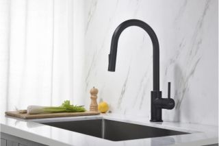 Смеситель для кухни Aquatek Европа AQ1384MB черный